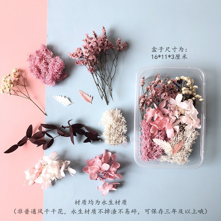Wholesale Eternal Flower Baby's Breath Daisy Dried Flower Floating Flower Pressed Flower Kindergarten Handmade Flower Art Diy Filling Material